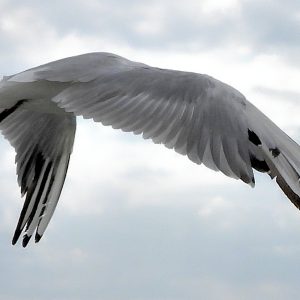 0960